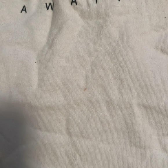 Vintage Feline Fitness Center Shirt from Hawaii - Picture 7 of 7